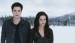 Breaking Dawn - Edward a Bella na bojišti